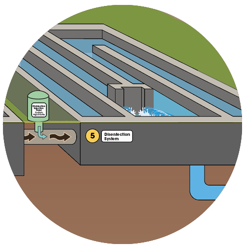 Disinfection system illustration