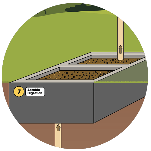 aerobic digestion illustration