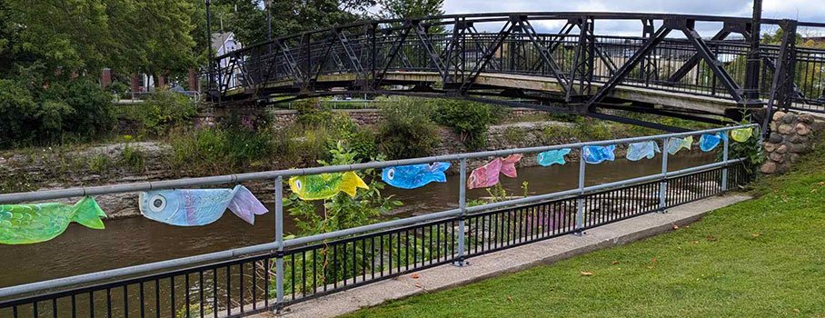 Fish hanging from the railing along the Ganaraska River in Port Hope