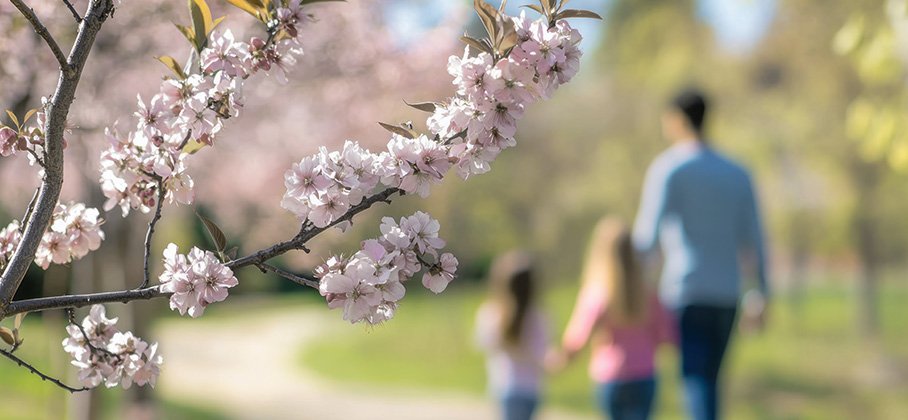 Family walking in a park with blossoms